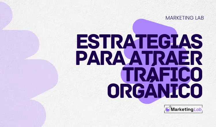 estrategias trafico organico.png